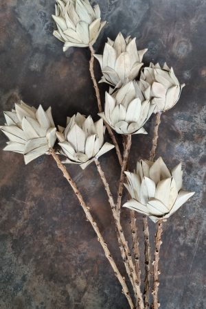 Blumenstrauß palmblätter Trockenblumen Blätterstrauß Blüten Blütendeko Deko Dekoidee im Mrs Greenery Shop bestellen kaufen