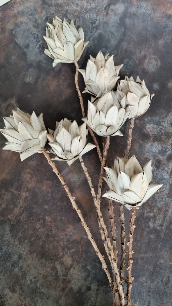 Blumenstrauß palmblätter Trockenblumen Blätterstrauß Blüten Blütendeko Deko Dekoidee im Mrs Greenery Shop bestellen kaufen