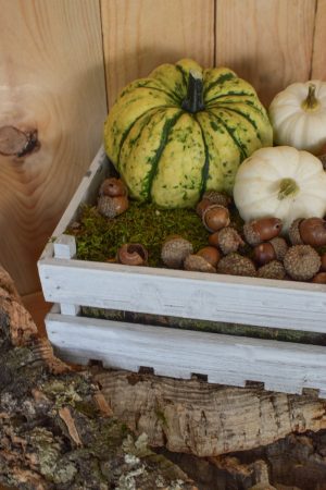 Holzkiste weiß mit Plastikeinsatz für deine Naturdeko-Ideen. Deko Dekoration Kiste im Mrs Greenery Shop bestellen