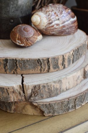 Holzscheibe Baumscheibe Dekoscheibe Holz mit Baumrinde Naturdeko im Mrs Greenery Shop bestellen kaufen