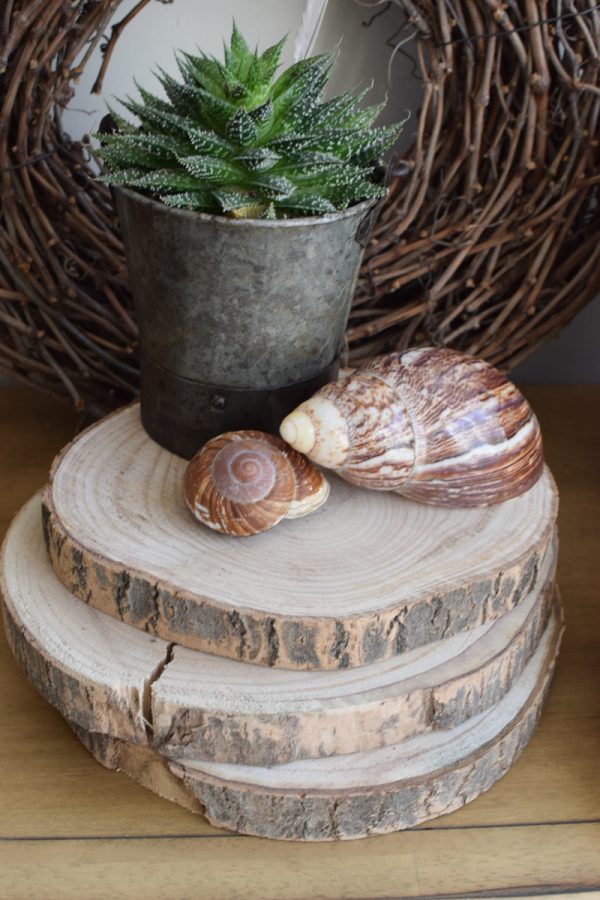 Holzscheibe Baumscheibe Dekoscheibe Holz mit Baumrinde Naturdeko im Mrs Greenery Shop bestellen kaufen