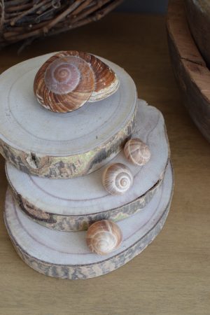 Holzscheibe Baumscheibe Dekoscheibe Holz mit Baumrinde Naturdeko im Mrs Greenery Shop bestellen kaufen