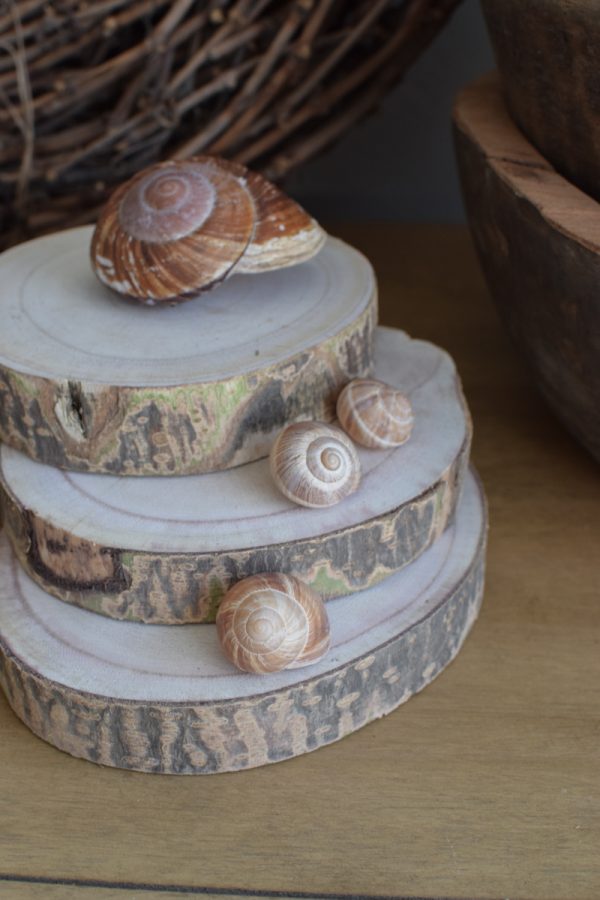 Holzscheibe Baumscheibe Dekoscheibe Holz mit Baumrinde Naturdeko im Mrs Greenery Shop bestellen kaufen