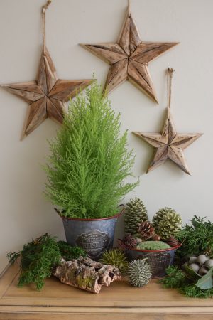 Zinkschale Zinktopf Weihnachtsdeko Weihnachten Adventsdeko Topf Schale aus Zink Übertopf im Mrs Greenery Shop