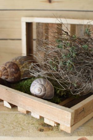 Mini Holztablett Dekotablett Holzdeko Naturdeko Tablett
