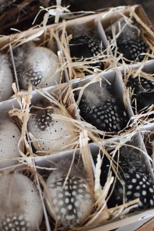 Hühnerei zum Hängen mit Feder Osterdeko Osterei Dekoei im Mrs Greenery Shop bestellen