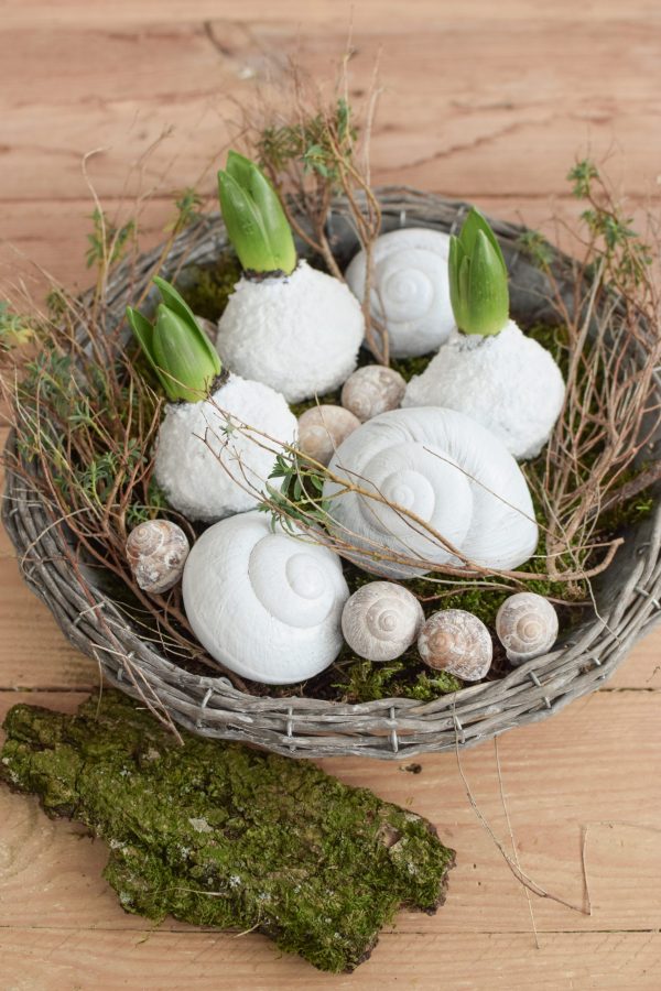 Hyazinthe weiß gewachst. Frühlingsblüher Frühlingsdeko mit Naturmaterialien