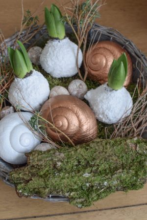 Hyazinthe weiß gewachst. Frühlingsblüher Frühlingsdeko mit Naturmaterialien-schnecke-lamarkiana