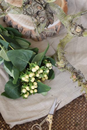 Hypericum weiß creme frisch Schnittblumen Frühlingsdeko Amaryllis weiße Blüte im Topf Frühlingsblüher Winterblüher Frühlingsdeko DIY Naturdeko im Mrs Greenery Shop bestellen