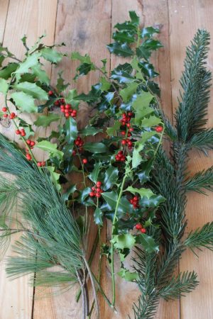Ilex grün mit Beeren, Nordmanntanne, Kiefer. Weihnachtsgrün Wintergrün Bund Deko Weihnachten Advent Winter natürlich Kreativsein kreativ