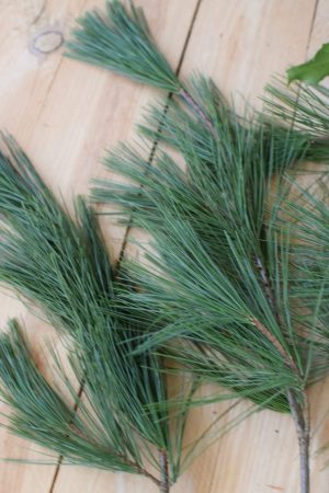 Ilex grün mit Beeren, Nordmanntanne, Kiefer. Weihnachtsgrün Wintergrün Bund Deko Weihnachten Advent Winter natürlich Kreativsein kreativ