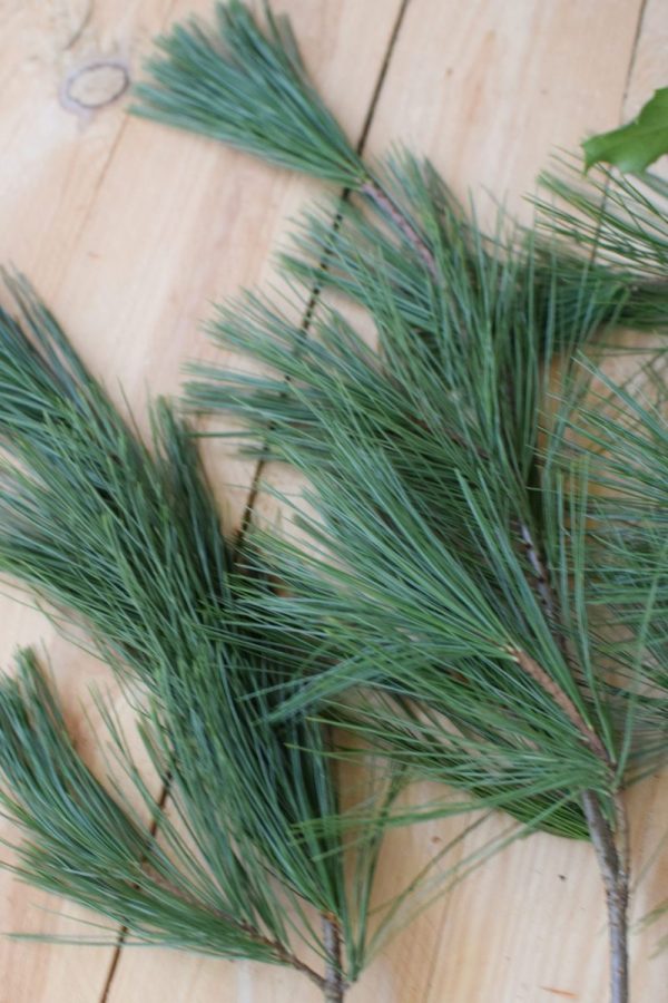 Ilex grün mit Beeren, Nordmanntanne, Kiefer. Weihnachtsgrün Wintergrün Bund Deko Weihnachten Advent Winter natürlich Kreativsein kreativ
