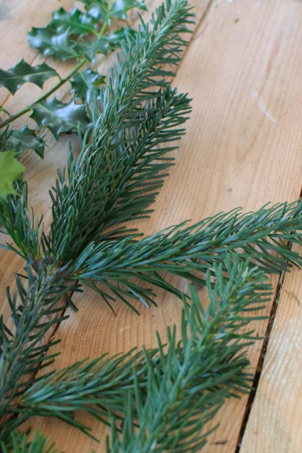 Ilex grün mit Beeren, Nordmanntanne, Kiefer. Weihnachtsgrün Wintergrün Bund Deko Weihnachten Advent Winter natürlich Kreativsein kreativ