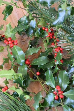 Ilex grün mit Beeren, Nordmanntanne, Kiefer. Weihnachtsgrün Wintergrün Bund Deko Weihnachten Advent Winter natürlich Kreativsein kreativ