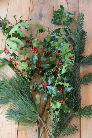 Ilex grün mit Beeren, Nordmanntanne, Kiefer. Weihnachtsgrün Wintergrün Bund Deko Weihnachten Advent Winter natürlich Kreativsein kreativ
