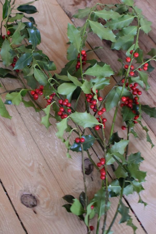Ilex mit roten Beeren grün Wintergrün Bund Tannengrün Kranz Kränze binden Weihnachtsgrün Deko