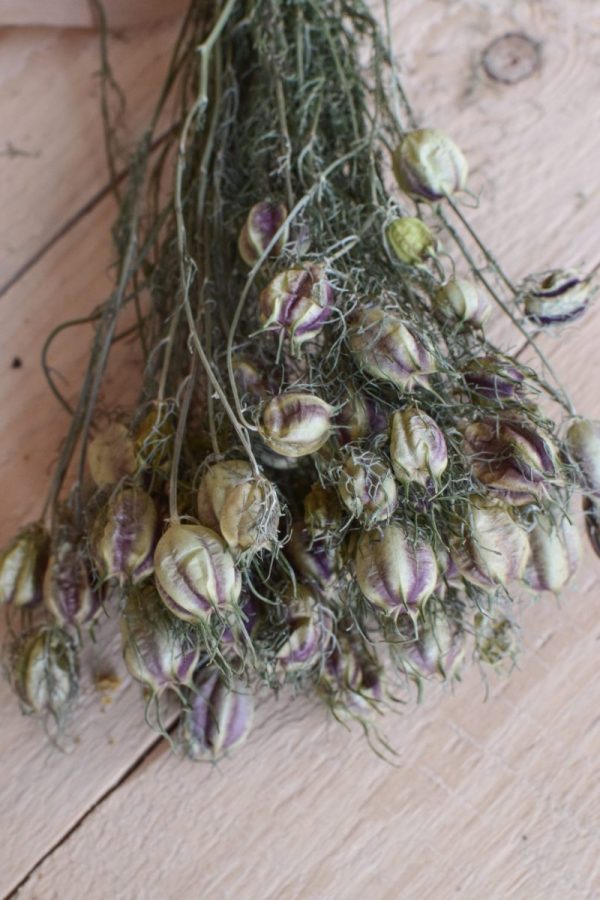 1 Bund getrocknete Jungfer im Grünen. Kreativsein mit Trockenblumen. Naturdeko Dekoidee von Mrs Greenery