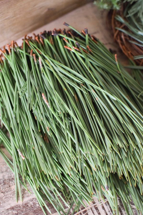 Kiefernadeln frisch grün Nadeln Kiefer Kreativmaterial Wintergrün Greenery im Mrs Greenery Shop bestellen