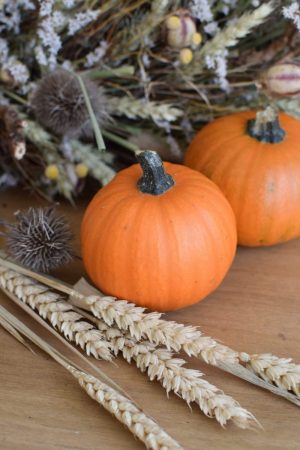 Herbstdeko mit orangen Kürbissen. Der Klassiker der Herbstdeko. Jetzt besellen! Kürbis