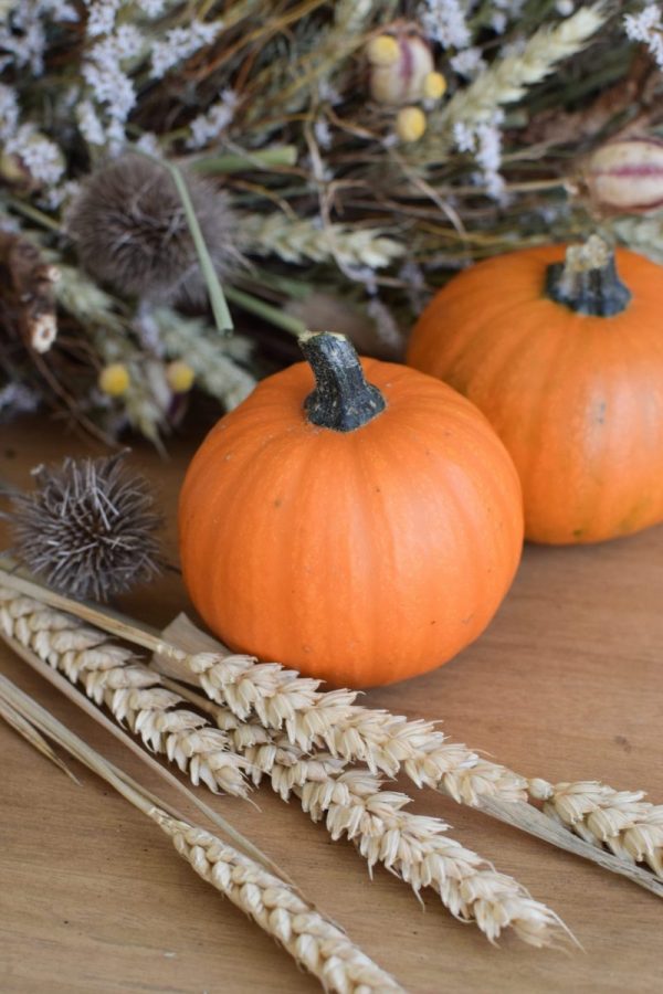 Herbstdeko mit orangen Kürbissen. Der Klassiker der Herbstdeko. Jetzt besellen! Kürbis