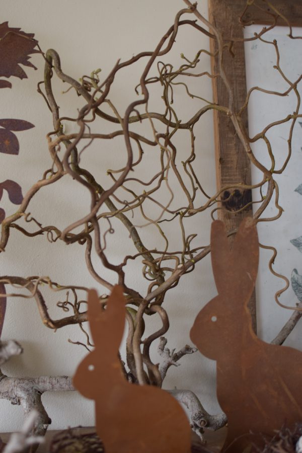 Korkenzieherweide frisch kurz Fruehlingsgruen Fruehlingsdeko Dekogruen im Mrs Greenery Shop bestellen kaufen