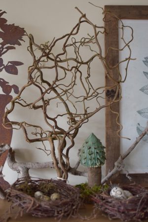 Korkenzieherweide frisch kurz Fruehlingsgruen Fruehlingsdeko Dekogruen im Mrs Greenery Shop bestellen kaufen