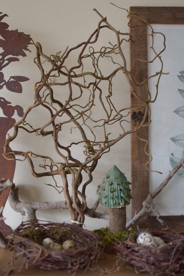 Korkenzieherweide frisch kurz Fruehlingsgruen Fruehlingsdeko Dekogruen im Mrs Greenery Shop bestellen kaufen