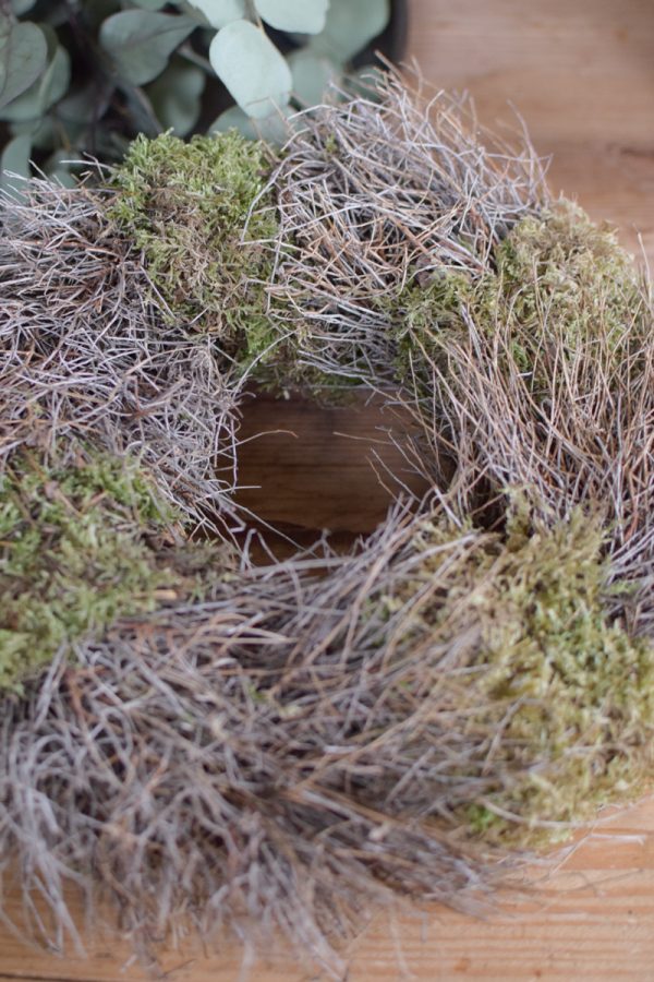 Kranz Euphorbia Moos Kränze fertig gebunden Mooskranz Euphorbia Kranz getrocknet im Mrs Greenery Shop bestellen Naturdeko Deko mit Naturmaterialien