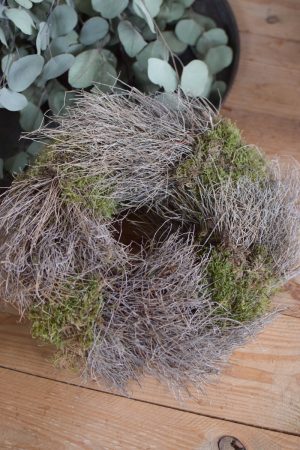 Kranz Euphorbia Moos Kränze fertig gebunden Mooskranz Euphorbia Kranz getrocknet im Mrs Greenery Shop bestellen Naturdeko Deko mit Naturmaterialien