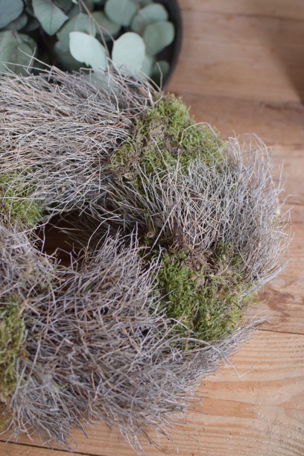 Kranz Euphorbia Moos Kränze fertig gebunden Mooskranz Euphorbia Kranz getrocknet im Mrs Greenery Shop bestellen Naturdeko Deko mit Naturmaterialien