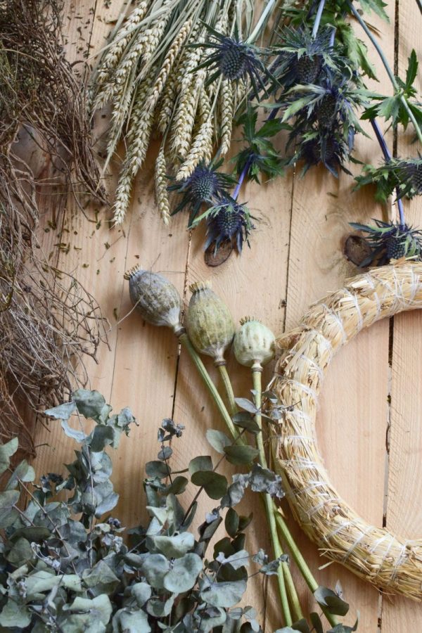 Kranz binden mit Trockenblumen für Sommer und Herbst: Kränze selber machen aus Eukalyptus, Craspedia, Weizen, Mohnkapsel, Disteln und Euphorbia