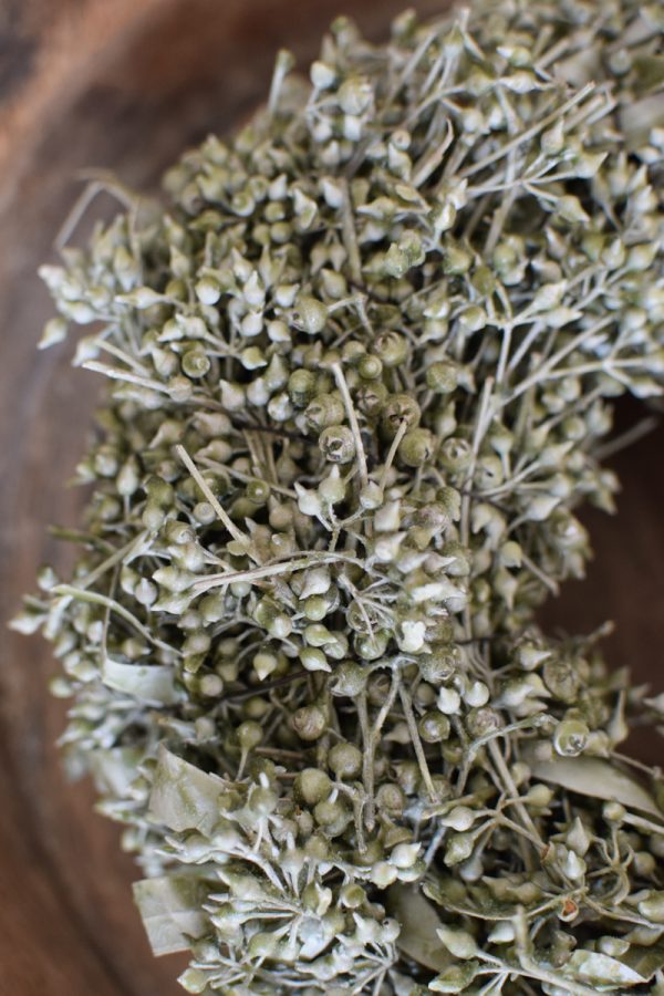 Eukalyptuskranz Früchtekranz Eukalyptusfrüchte gewachst Wachskranz Kranz Kränze fertig gebunden Fertigkranz im Mrs Greenery Shop bestellen