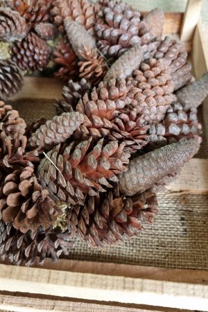 Kranz Zapfenkranz Kränze Herbstkranz weihnachtskranz deko Naturdeko im Mrs Greenery Shop bestellen kaufen kreativsein wanddeko