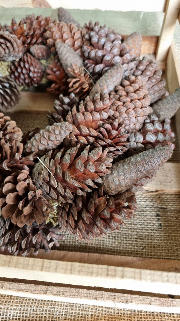 Kranz Zapfenkranz Kränze Herbstkranz weihnachtskranz deko Naturdeko im Mrs Greenery Shop bestellen kaufen kreativsein wanddeko