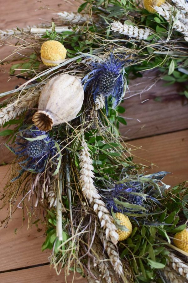 Kranz binden mit Trockenblumen für Sommer und Herbst: Kränze selber machen aus Eukalyptus, Craspedia, Weizen, Mohnkapsel, Disteln und Euphorbia