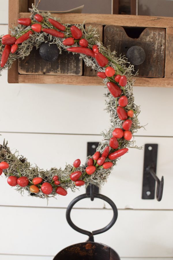 Zierpfeffer Pfeffer im Kreativ-set Kranzbinden Kranz Kränze selberbinden Dekopfeffer rot orange. Pfefferkranz Gewürzekranz Kranzbinden Kreativsein im Mrs Greenery Shop bestellen kaufen