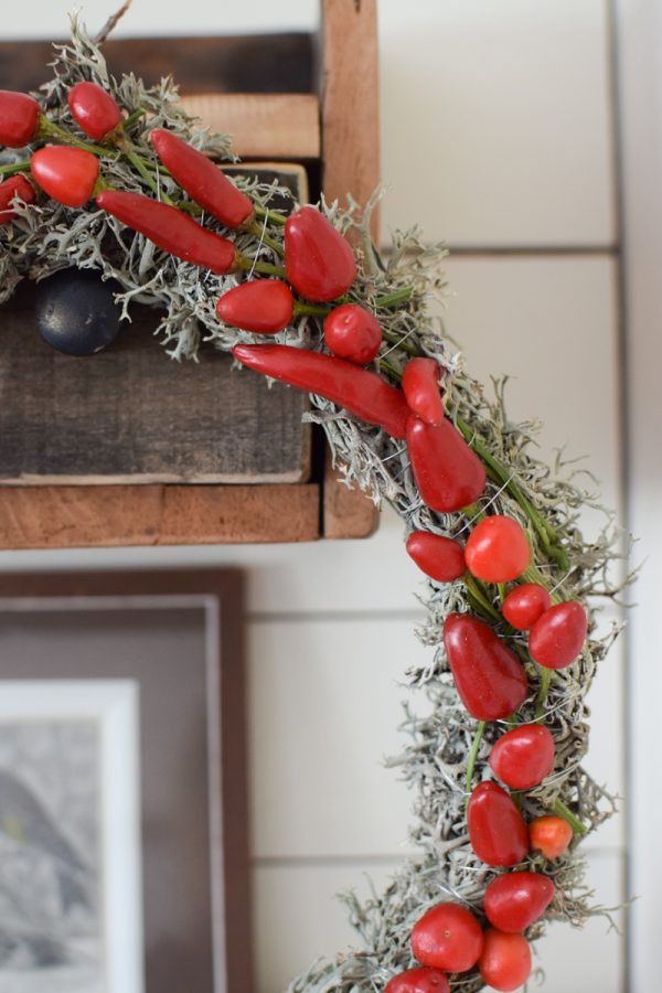 Zierpfeffer Pfeffer im Kreativ-set Kranzbinden Kranz Kränze selberbinden Dekopfeffer rot orange. Pfefferkranz Gewürzekranz Kranzbinden Kreativsein im Mrs Greenery Shop bestellen kaufen