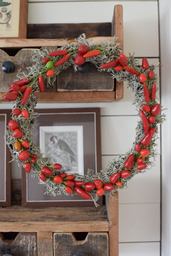 Zierpfeffer Pfeffer im Kreativ-set Kranzbinden Kranz Kränze selberbinden Dekopfeffer rot orange. Pfefferkranz Gewürzekranz Kranzbinden Kreativsein im Mrs Greenery Shop bestellen kaufen