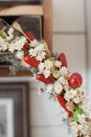 Zierpfeffer Pfeffer im Kreativ-set Kranzbinden Kranz Kränze selberbinden Dekopfeffer rot orange. Pfefferkranz Gewürzekranz Kranzbinden Kreativsein im Mrs Greenery Shop bestellen kaufen
