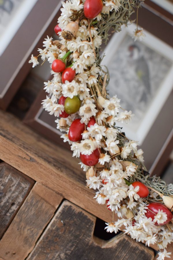 Zierpfeffer Pfeffer im Kreativ-set Kranzbinden Kranz Kränze selberbinden Dekopfeffer rot orange. Pfefferkranz Gewürzekranz Kranzbinden Kreativsein im Mrs Greenery Shop bestellen kaufen