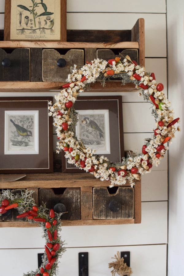 Zierpfeffer Pfeffer im Kreativ-set Kranzbinden Kranz Kränze selberbinden Dekopfeffer rot orange. Pfefferkranz Gewürzekranz Kranzbinden Kreativsein im Mrs Greenery Shop bestellen kaufen