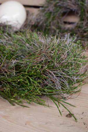Mit dem Kreativ Set Greenery Kranz kannst du aus Heidelbeere Euphorbia Kranz binden selber machen diy mrs greenery