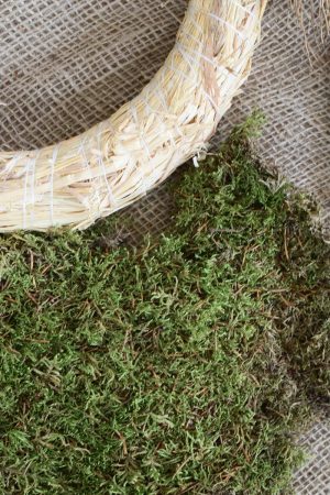 Kreativ Set Mooskranz binden mit Stroh-Rohling, Moos, Bindedraht, DIY