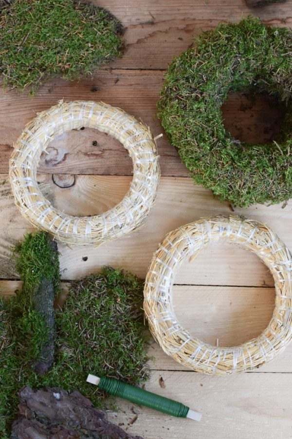 Kreativ Set Mooskränze binden mit Stroh-Rohling, Moos, Bindedraht, DIY Mini-Kränze