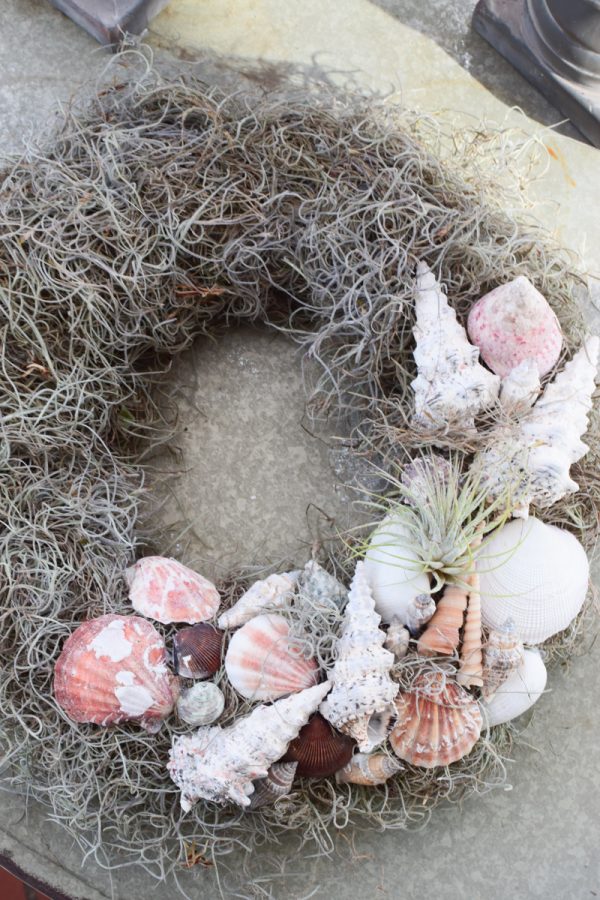 Muschelkranz mit Tillandsien binden. Sommerkranz Getreidekranz Herbstkranz inkl. Material Kränze selber machen aus getrockneten Blumen. Trockenblumenkranz, Kränze selbermachen DIY Selberbinden selbermachen