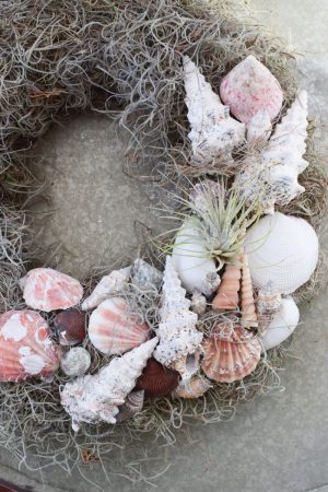 Muschelkranz mit Tillandsien binden. Sommerkranz Getreidekranz Herbstkranz inkl. Material Kränze selber machen aus getrockneten Blumen. Trockenblumenkranz, Kränze selbermachen DIY Selberbinden selbermachen