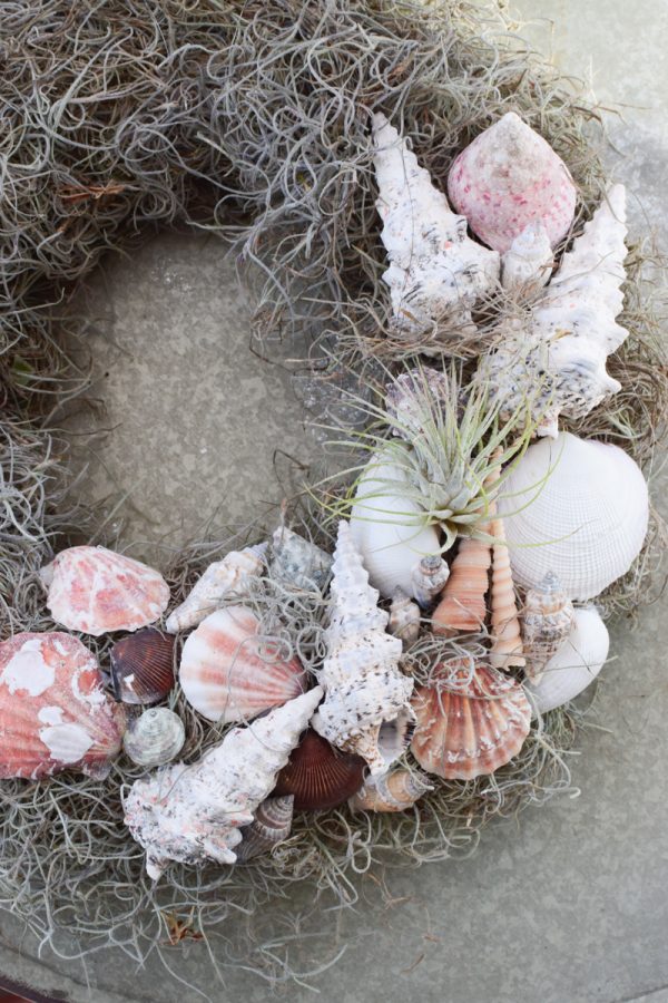 Muschelkranz mit Tillandsien binden. Sommerkranz Getreidekranz Herbstkranz inkl. Material Kränze selber machen aus getrockneten Blumen. Trockenblumenkranz, Kränze selbermachen DIY Selberbinden selbermachen