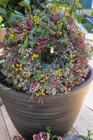 Kreativ-set Sommerkranz Kranzbinden Kränze Kranz Anleitung mit Mrs Greenery Shop bestellen kaufen Trockenblumen Eukalyptus