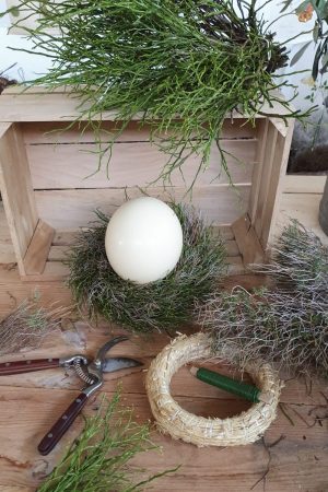 Mit dem Kreativ Set Straussenei Nest Heidelbeere Euphorbia binden selber machen diy mrs greenery