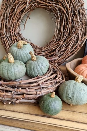 Kürbis Zierkürbis blau grau Herbstdeko Dekoidee im Mrs Greenery Shop bestellen kaufen